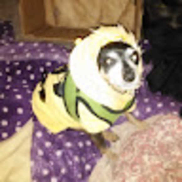 Meet your Posher, Juanita - Picture 1 of 1